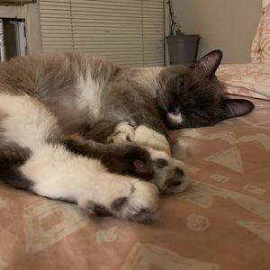 Meet your Posher, Angelia